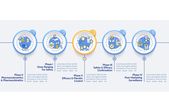 Evaluating the Clinical Study Phases Vector Infographic for Research Communication