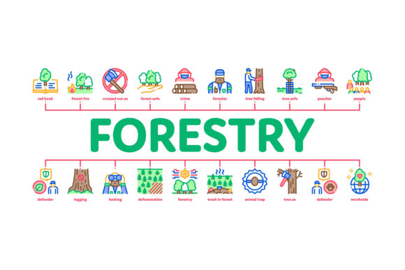 Forestry Lumberjack Minimal Infographic Design