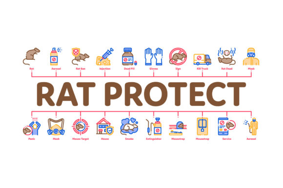 Rat Protect Minimal Infographic Banner Design Guide